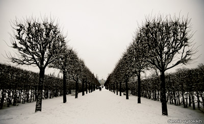 ekpark_alley