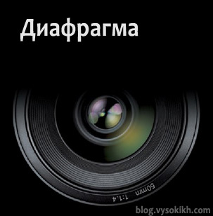 ap_logo