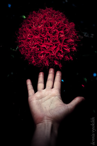 red_flower