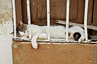 cuba pictures